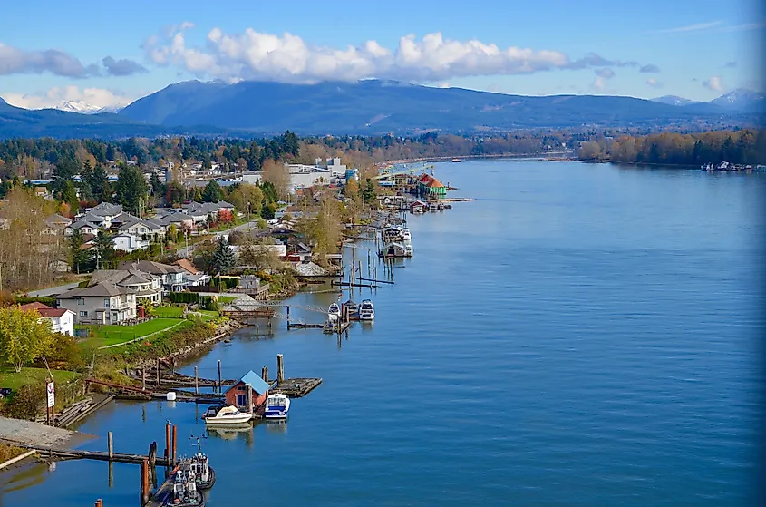 maple ridge